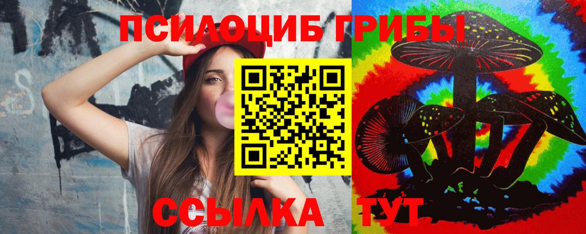 Галлюциногенные грибы мицелий  Галлюциногенные грибы Psilocybe  Вход с VPN  Краснознаменск 